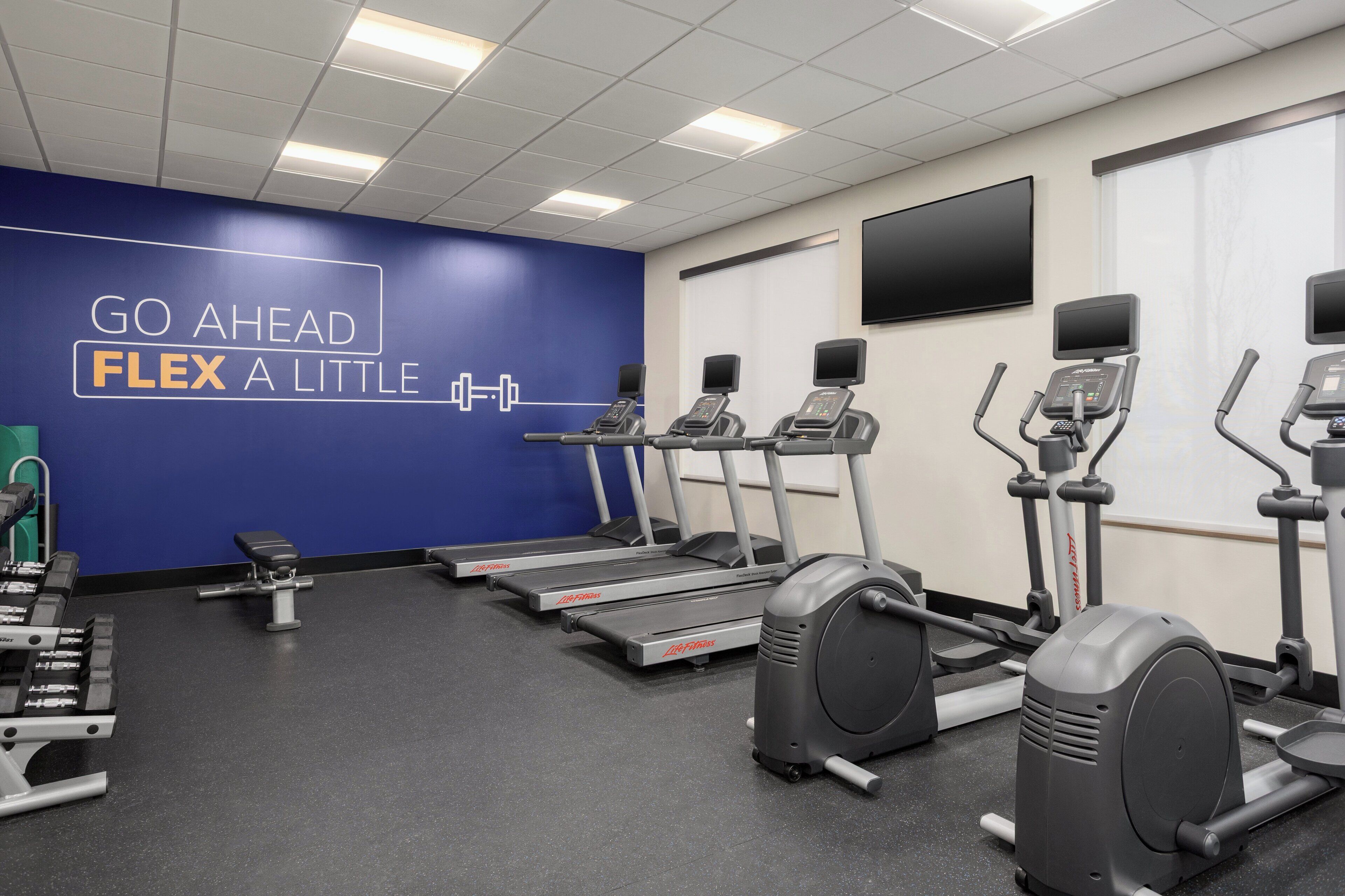 A gym with treadmills, ellipticals, and weight machines.