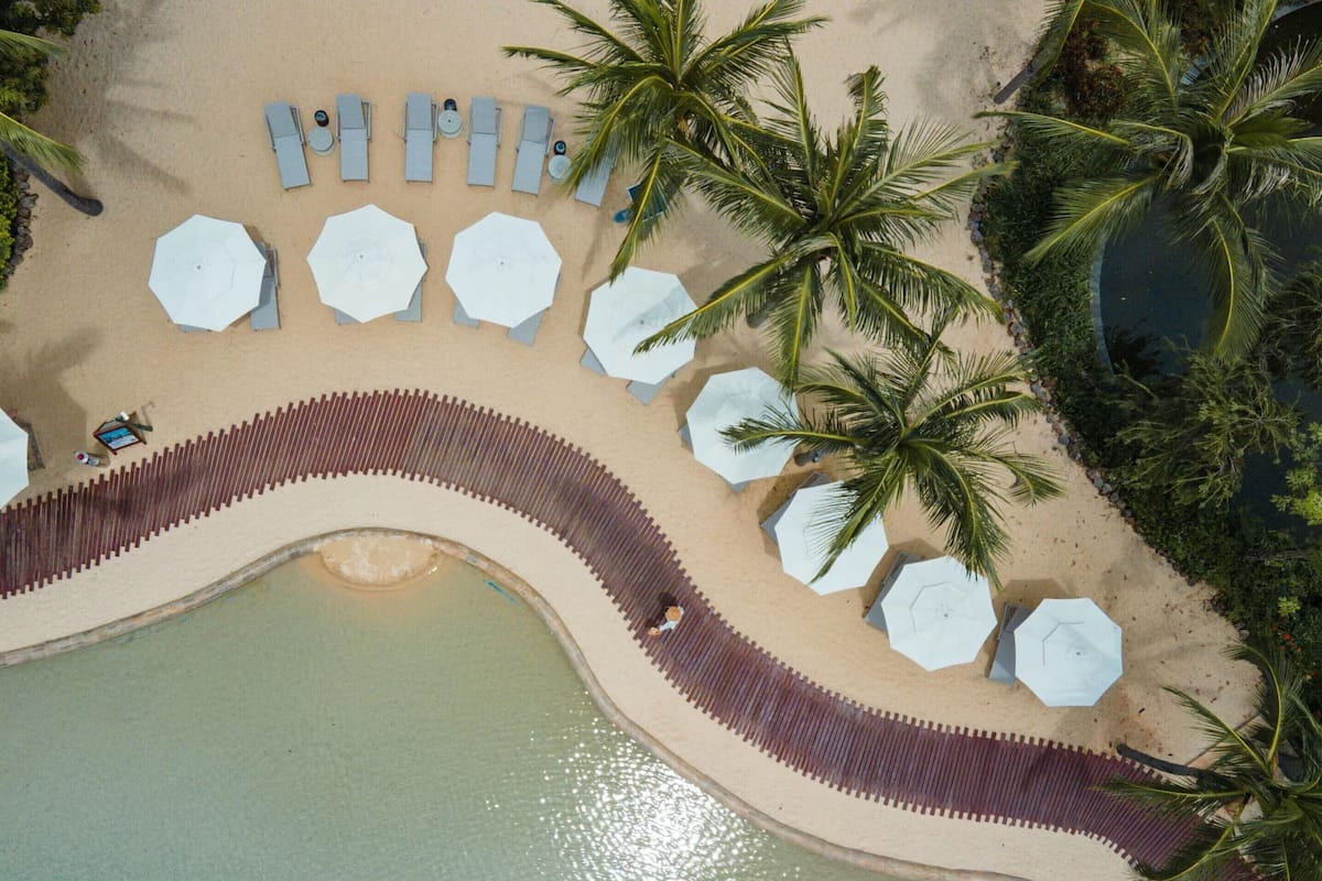 An aerial view of a beach with sun loungers, umbrellas, and palm trees.