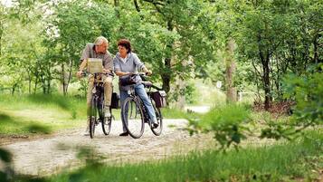 Two people on bicycles in a wooded area.