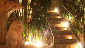 A stone statue in a dimly lit outdoor area with a staircase and a lotus pond. - Gavea Tropical Boutique Hotel (Rio de Janeiro)