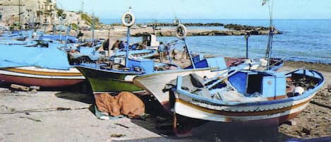 Plage à proximité, chaises longues, parasols, serviettes de plage