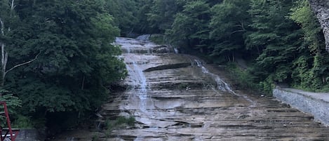A waterfall surrounded by dense forest, with a concrete viewing platform and safety railings.