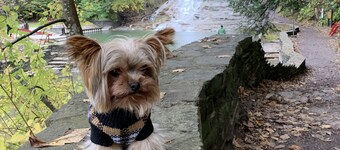 Country Inn & Suites by Radisson, Ithaca, NY