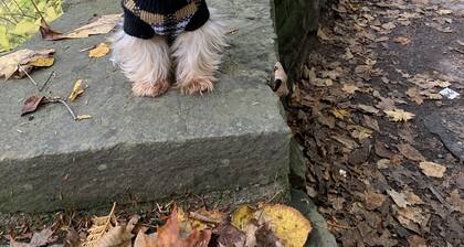 Country Inn & Suites by Radisson, Ithaca, NY