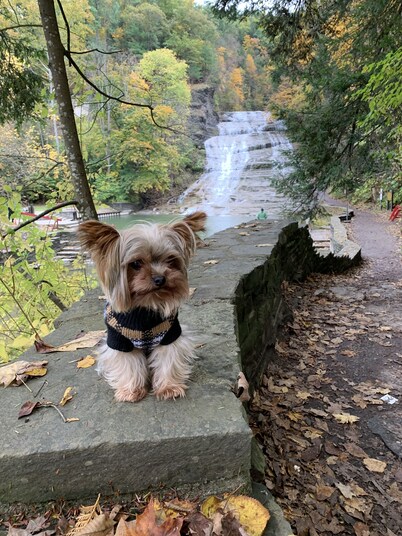 Country Inn & Suites by Radisson, Ithaca, NY