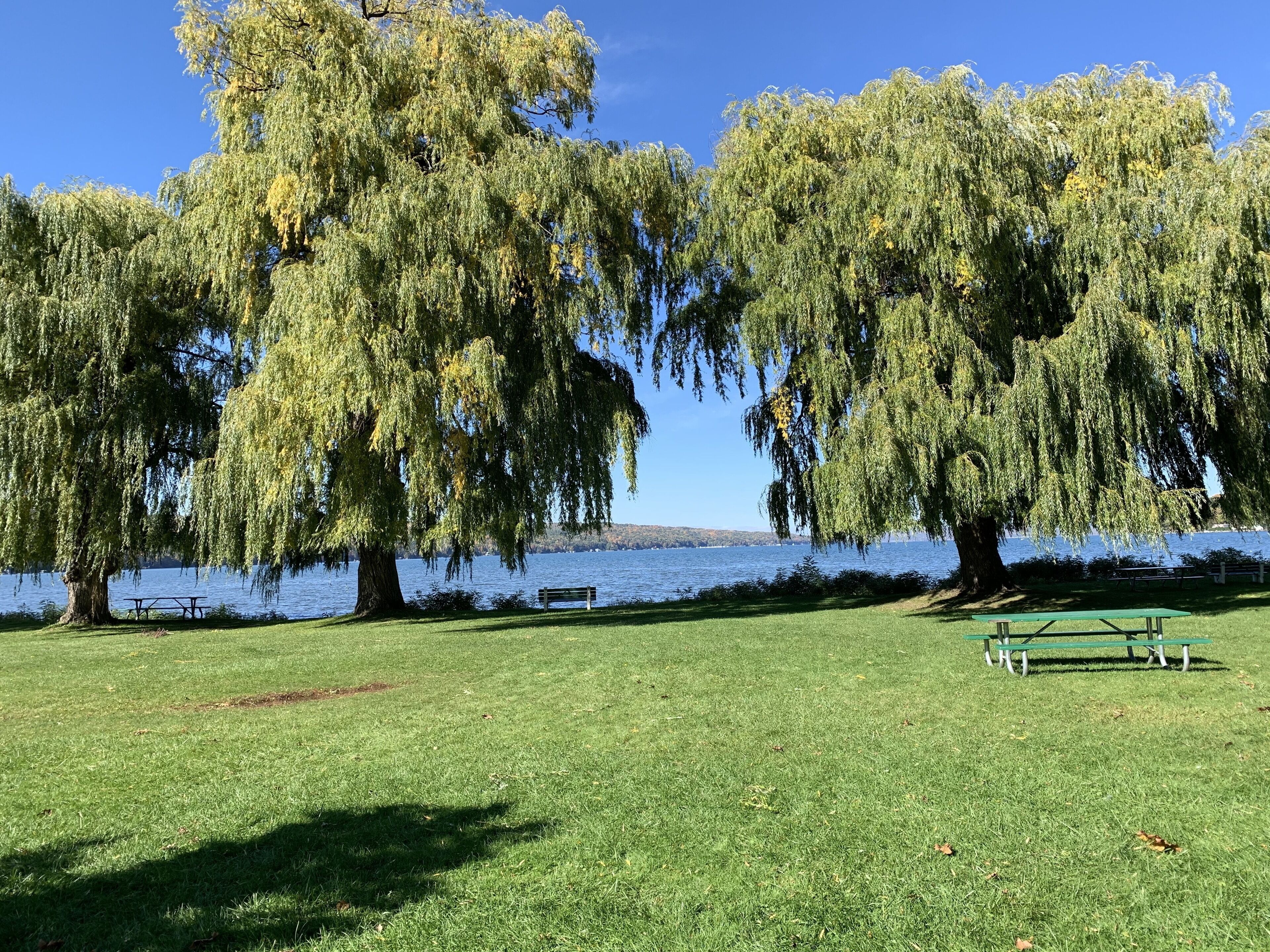 Un parque con césped, bancos y árboles junto a un lago.
