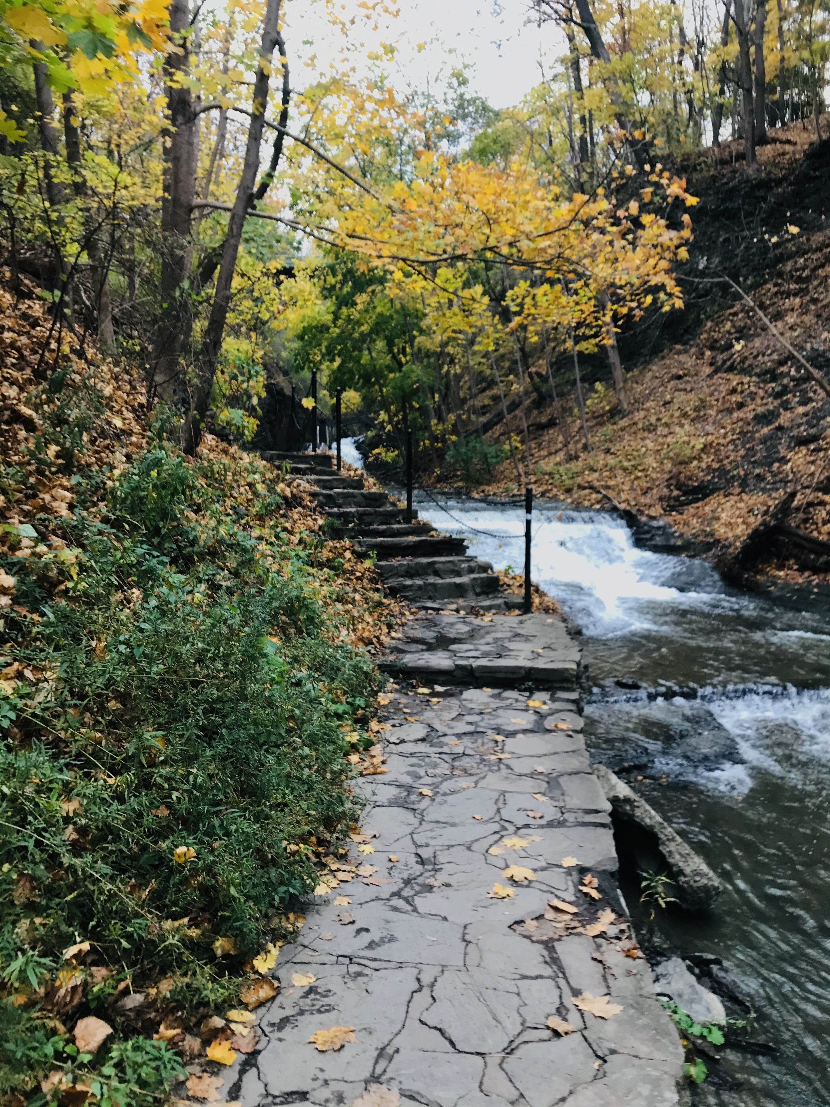 Foto - Country Inn & Suites by Radisson, Ithaca, NY