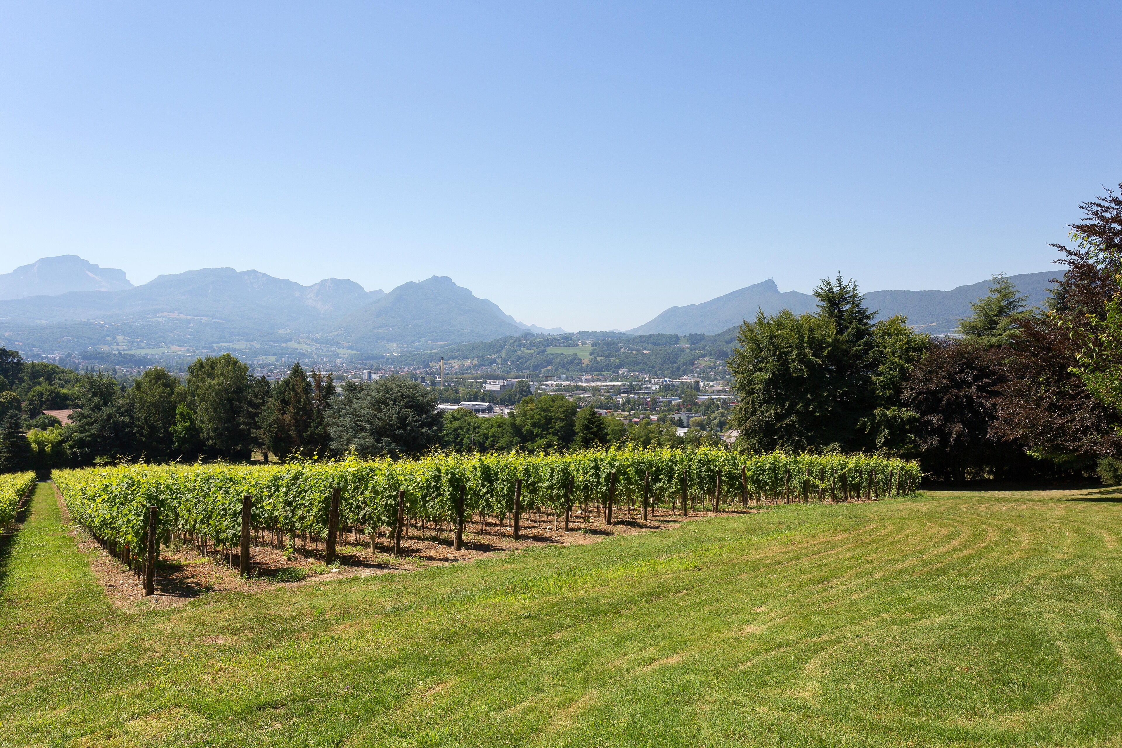 land view from property