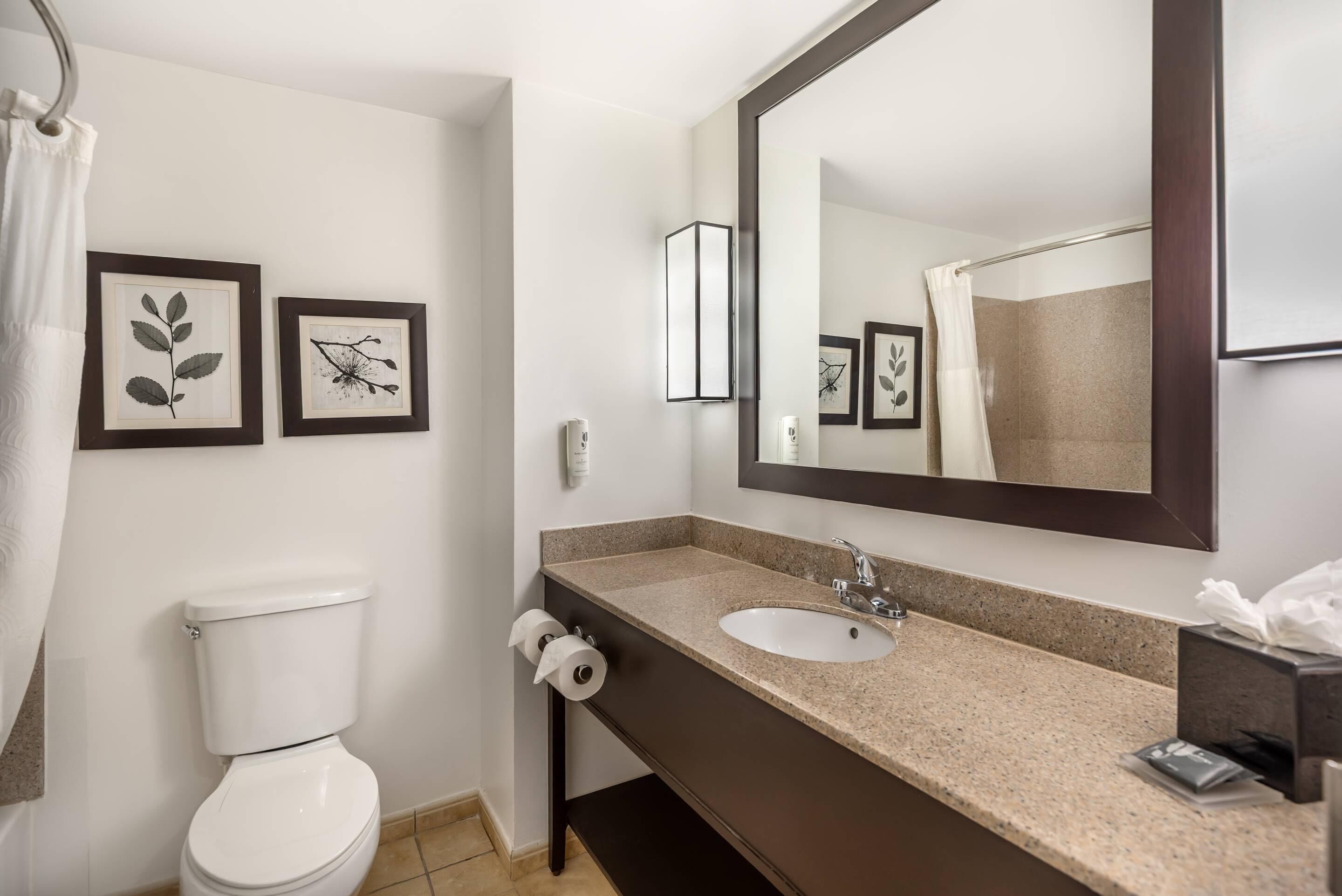 Un baño con inodoro blanco, lavamanos con espejo, una obra de arte enmarcada en la pared y un perchero para toallas.
