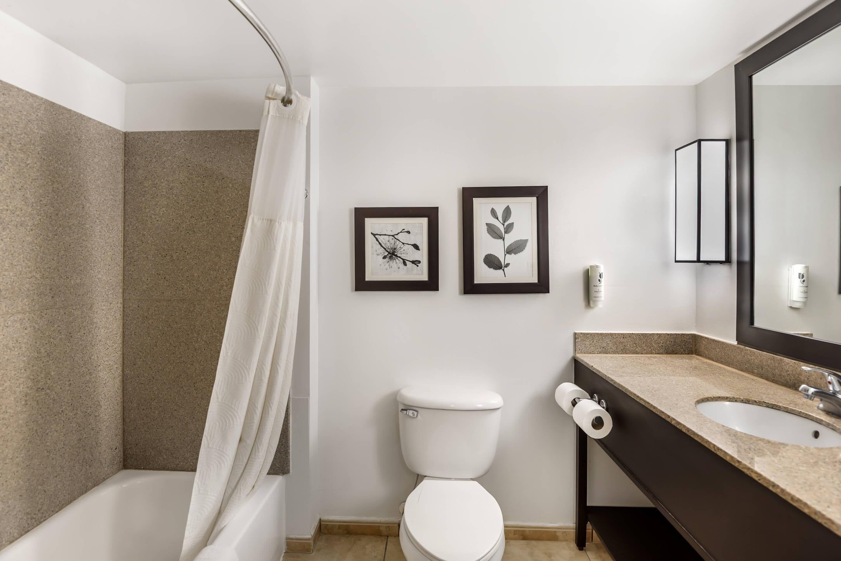 Un baño moderno con bañera, inodoro y lavabo. Hay dos cuadros enmarcados en la pared.