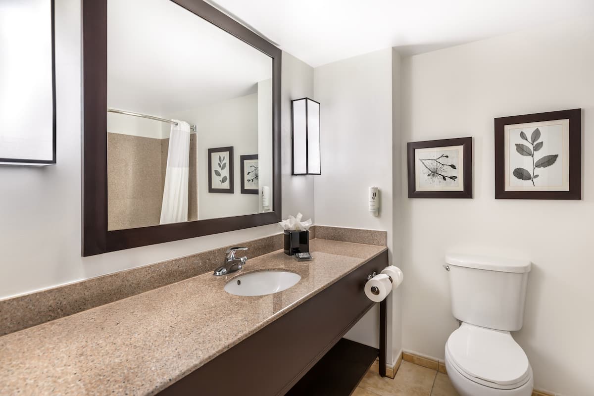 A bathroom with a granite countertop sink, a large mirror, a toilet, and framed botanical prints on the wall.