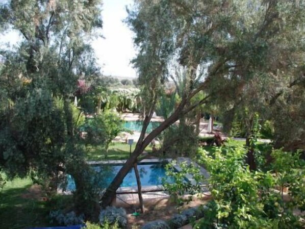 A pool surrounded by trees and greenery, with a clear view of the pool area. - Hotel Dar Zitoune Taroudant (Taroudant)