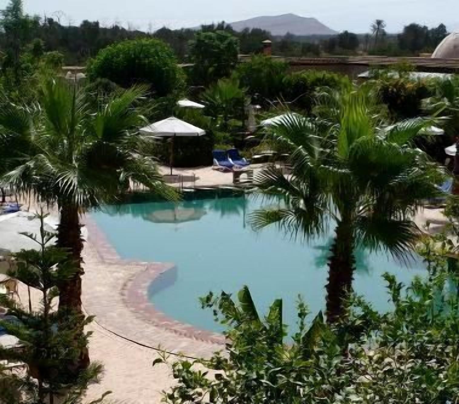 A pool area with palm trees, lounge chairs, and umbrellas.