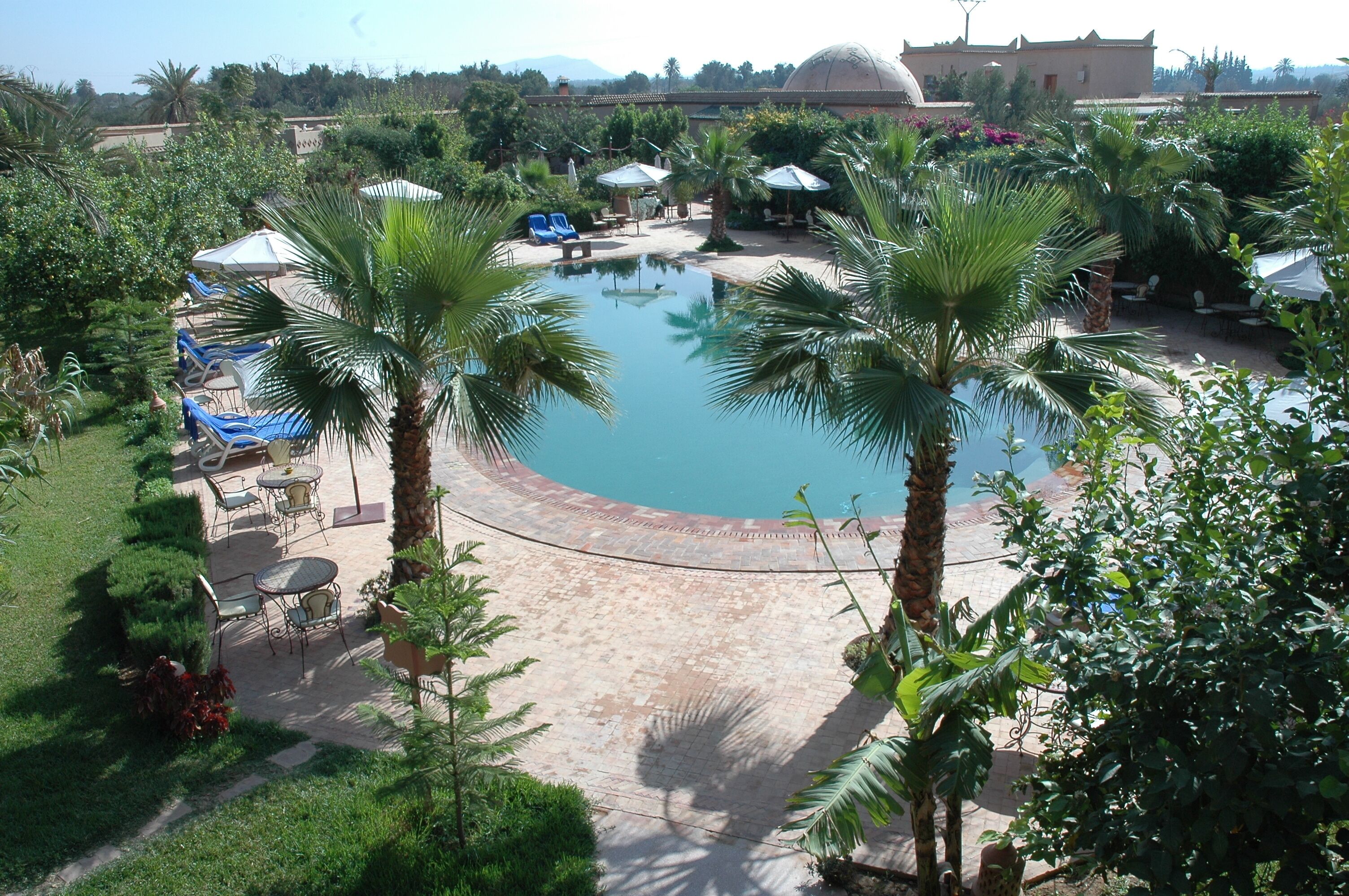 A pool surrounded by palm trees and lounge chairs, with a clear view of the surrounding greenery and a building in the background.