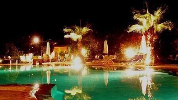 A nighttime pool area with clear water, palm trees, and lounge chairs.