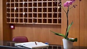 Una recepción con una orquídea en maceta, un bloc de notas y un extintor.