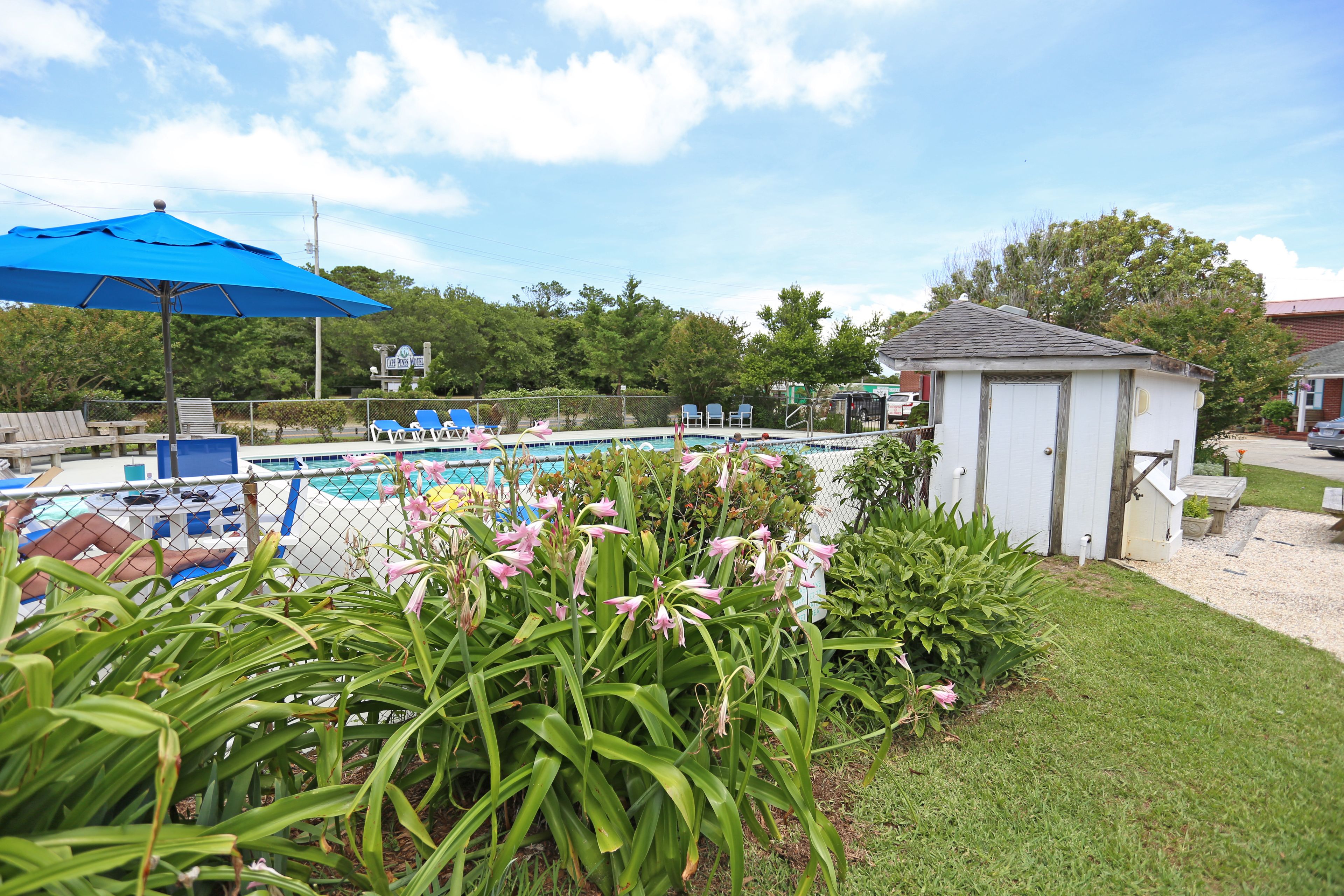 Seasonal outdoor pool, pool umbrellas, sun loungers