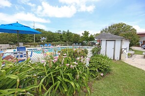 Seasonal outdoor pool, pool umbrellas, sun loungers - Cape Pines Motel (Buxton)