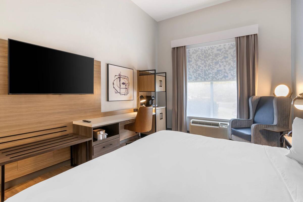 Room, 1 King Bed, Non Smoking | In-room safe, blackout drapes, iron/ironing board