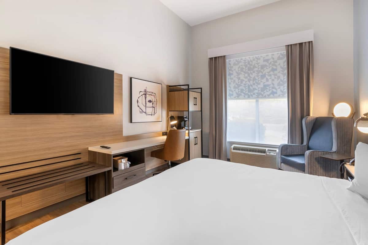 Room, 1 King Bed, Non Smoking