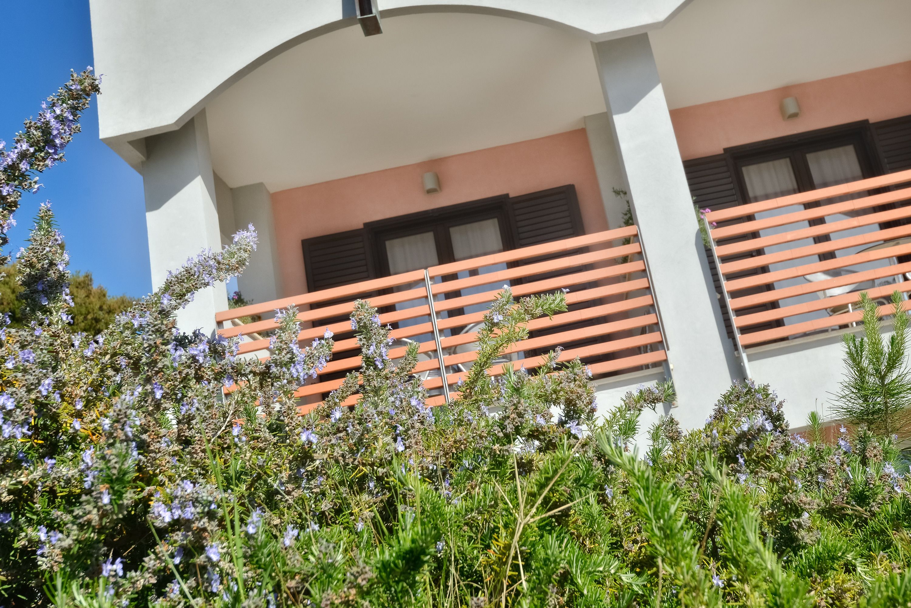 standard room | terrace/patio