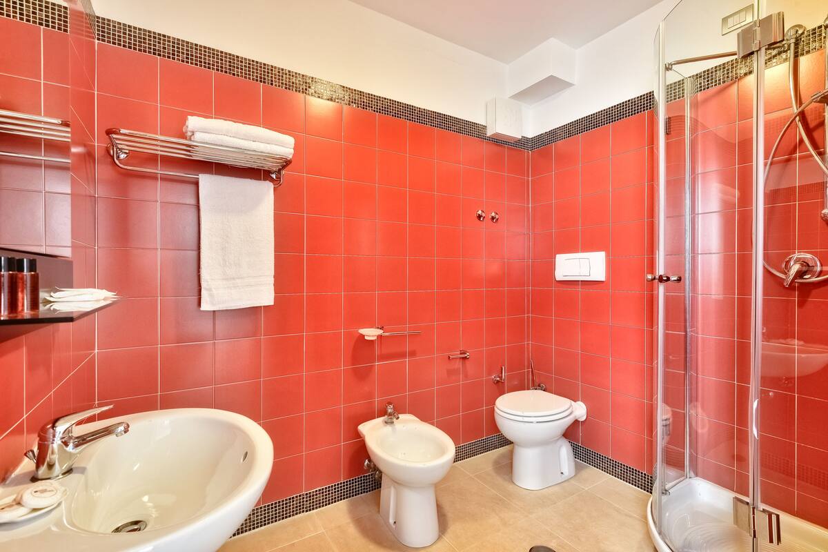 free toiletries, hair dryer, bidet, towels