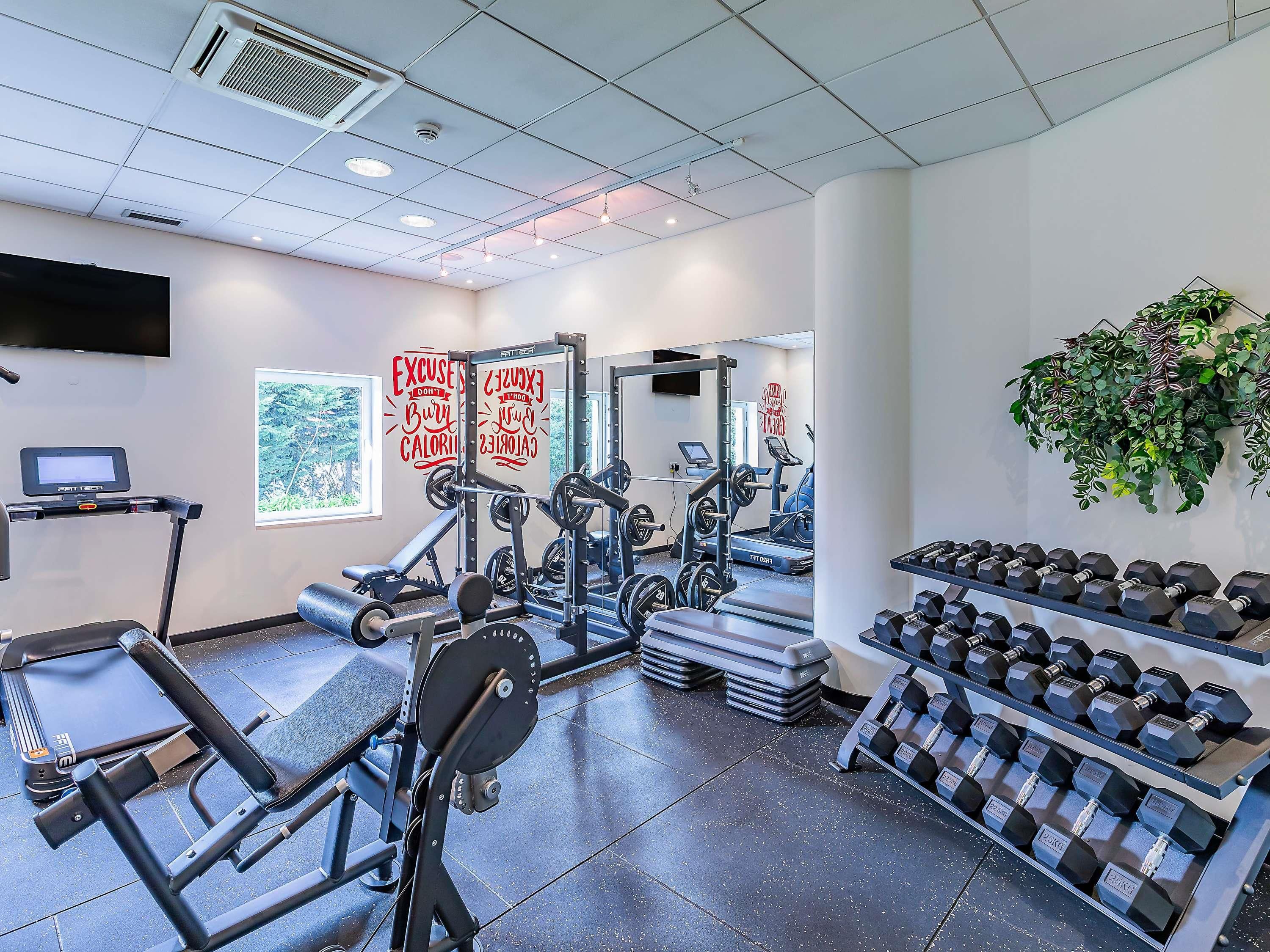 A gym with exercise equipment, treadmills, and dumbbells.