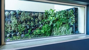 A window with a view of a vertical garden with various plants. - ibis Lisboa Alfragide (Amadora)