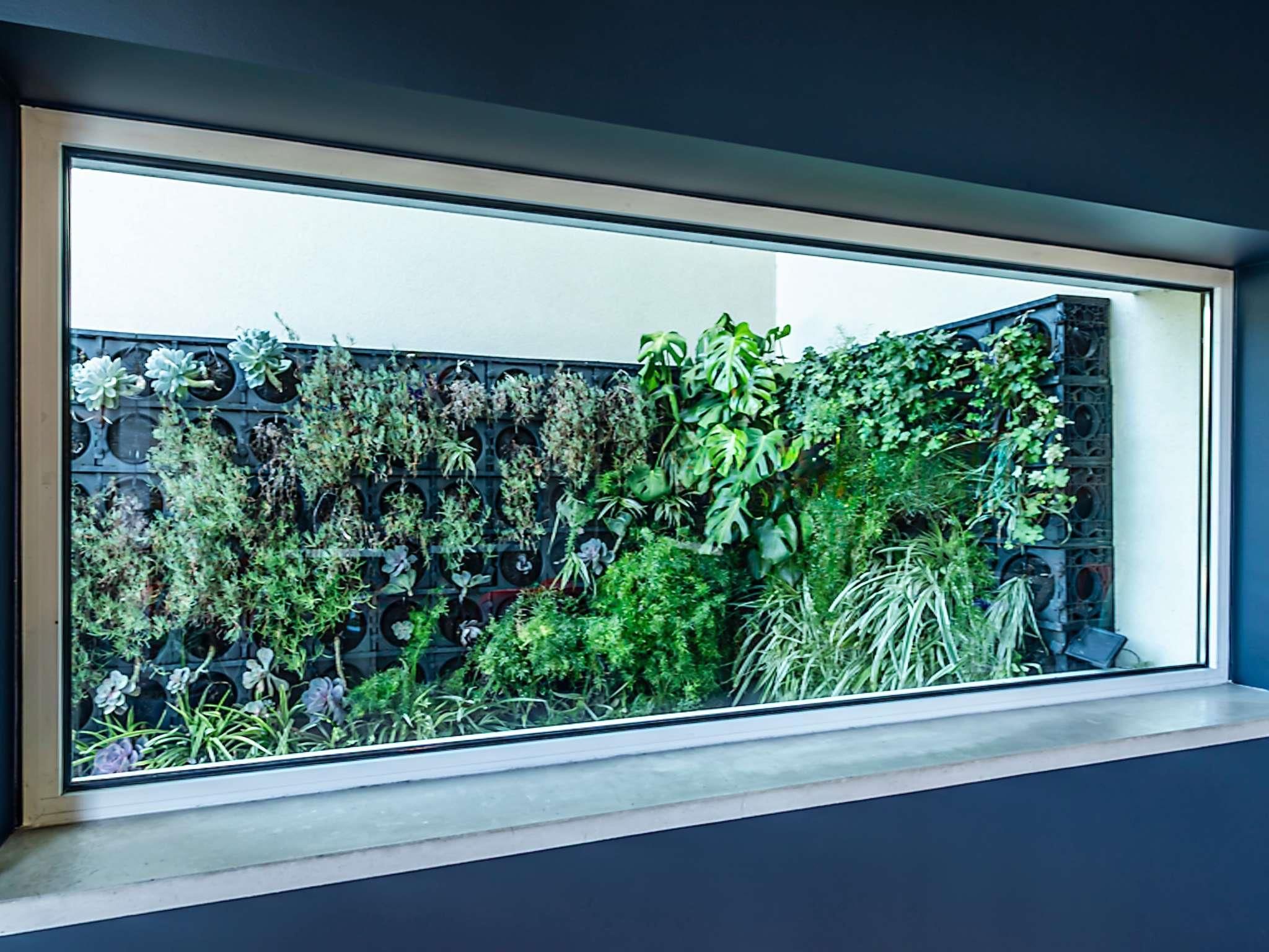 Una ventana con vista a un jardín vertical con diversas plantas.