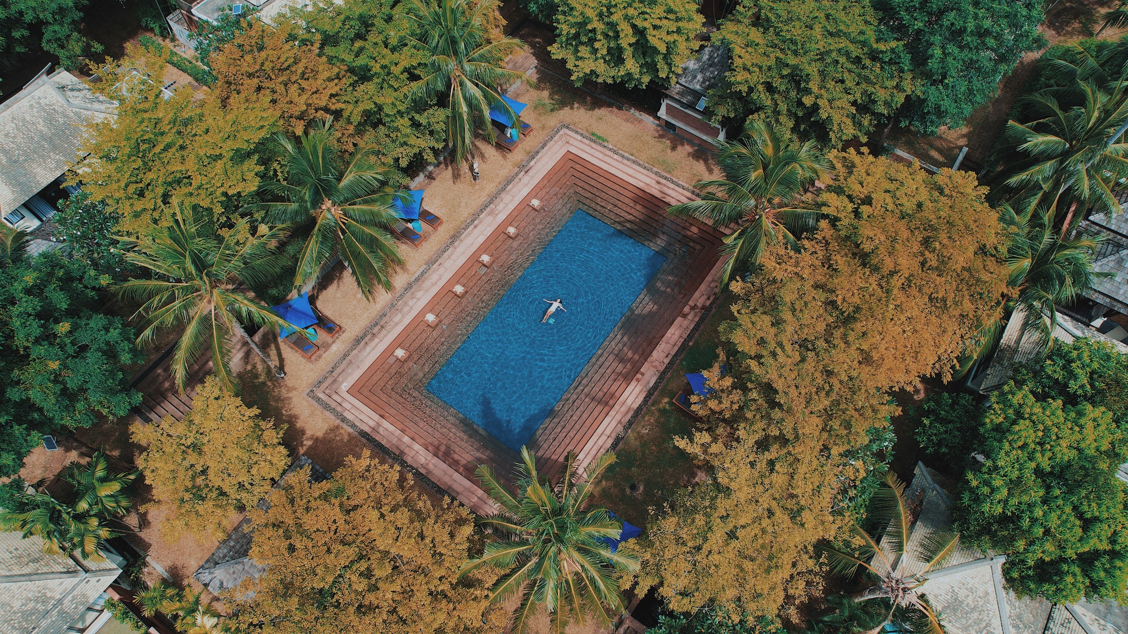 An aerial view of a rectangular swimming pool surrounded by palm trees and a wooden deck.