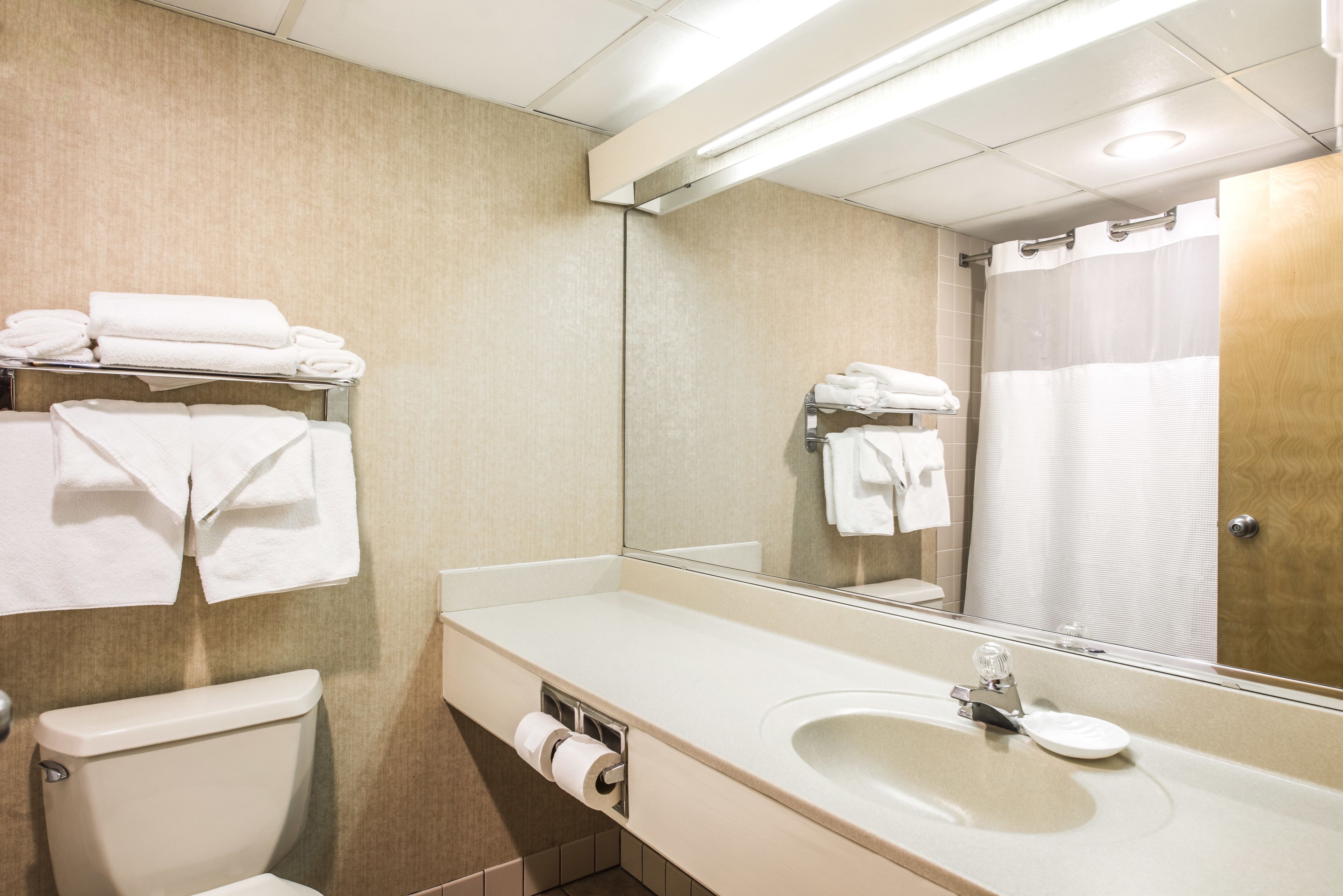 combined shower/bathtub, free toiletries, hair dryer, towels