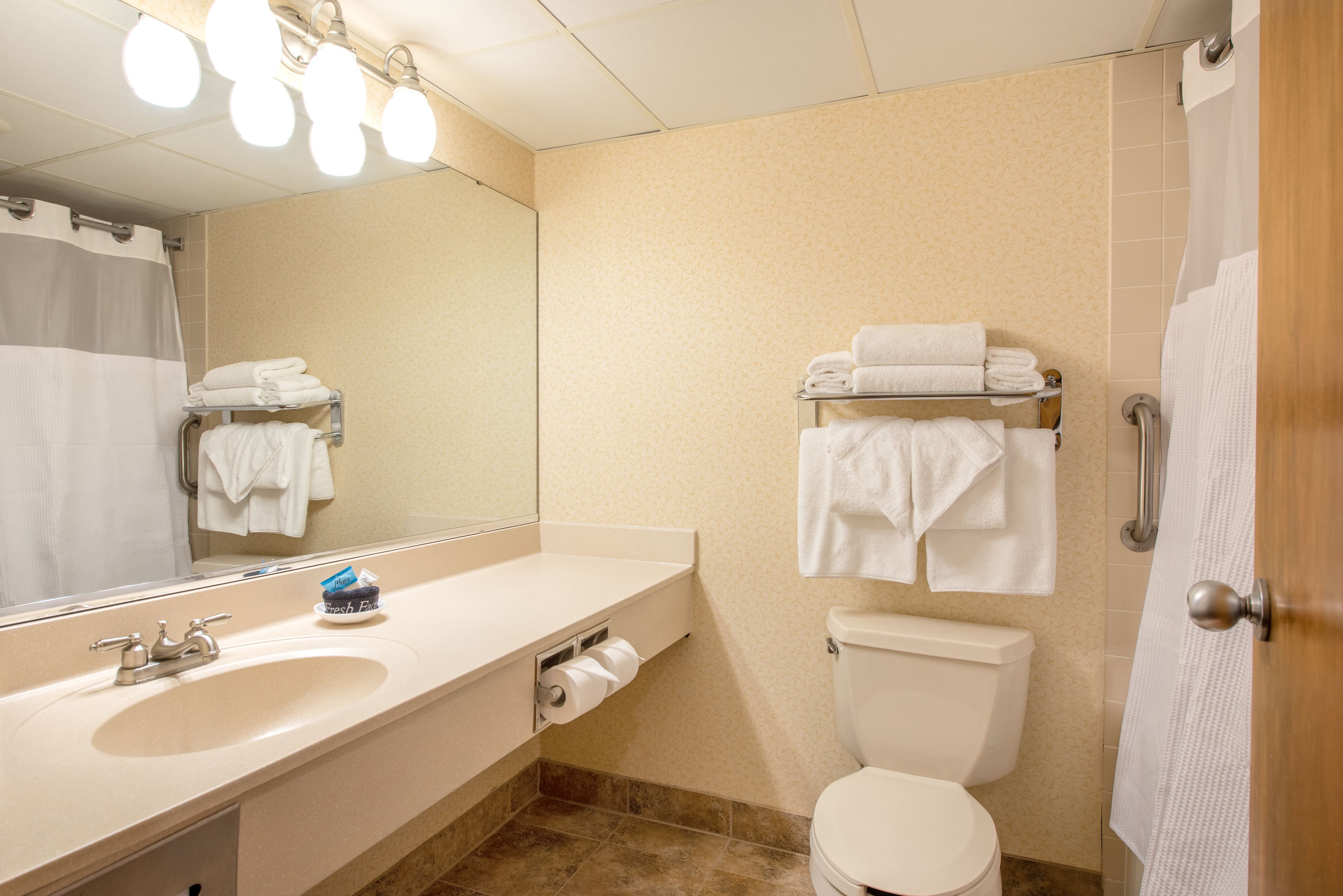 combined shower/bathtub, free toiletries, hair dryer, towels