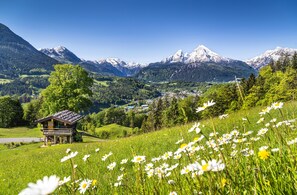 Un paisaje montañoso con una pequeña cabaña de madera en primer plano, rodeada de exuberante vegetación y un campo de margaritas.