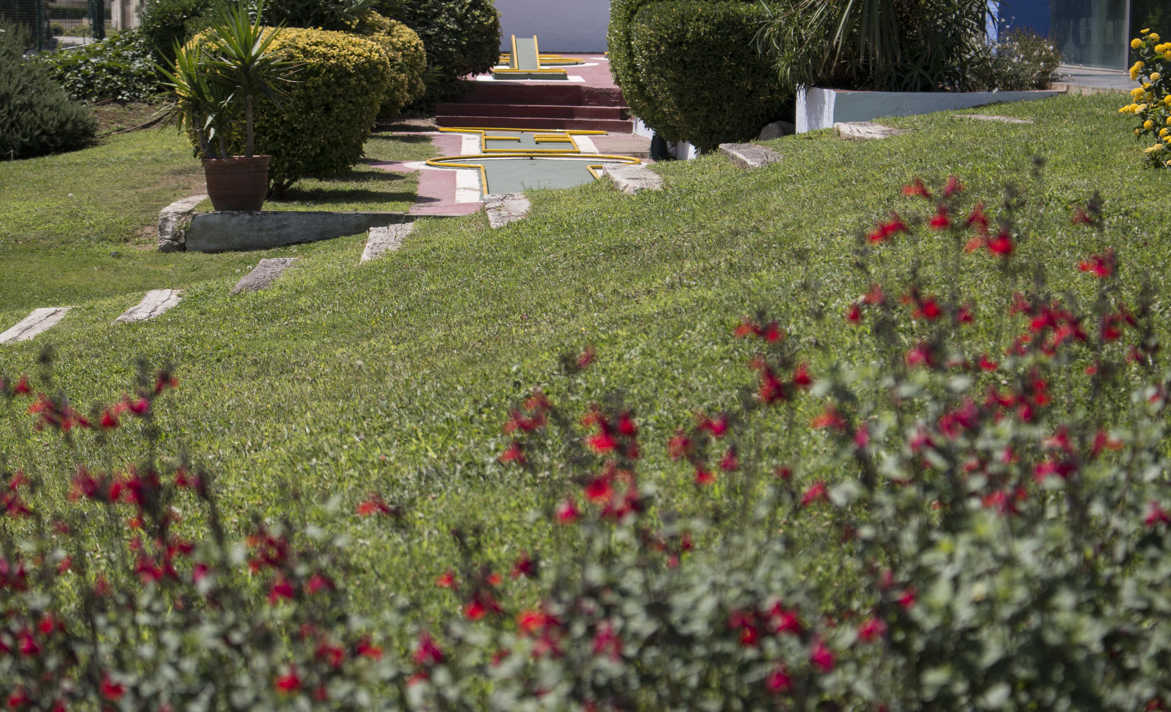 A landscaped area with a pathway leading to a building entrance, surrounded by grass and small red flowers.