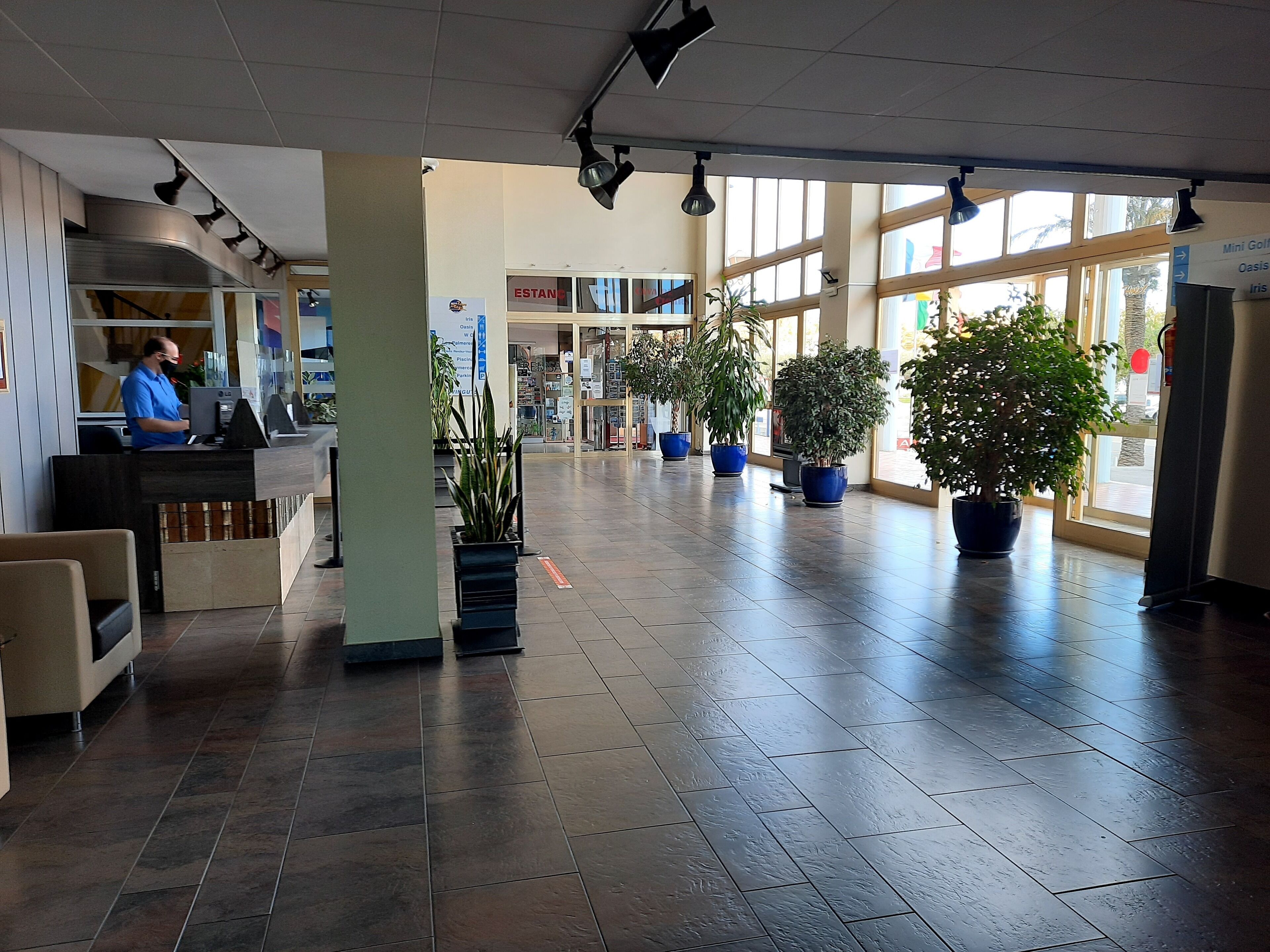 Eine geräumige Lobby mit einer Rezeption, Topfpflanzen und großen Fenstern, die viel Tageslicht hereinlassen.