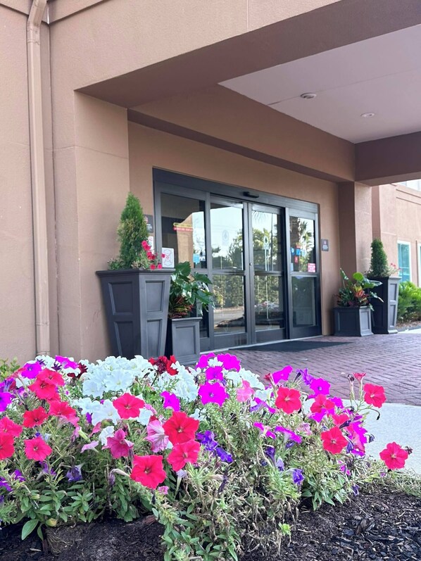 Entrada de hotel con puerta de vidrio, macizo de flores variadas y una planta en maceta a la izquierda.