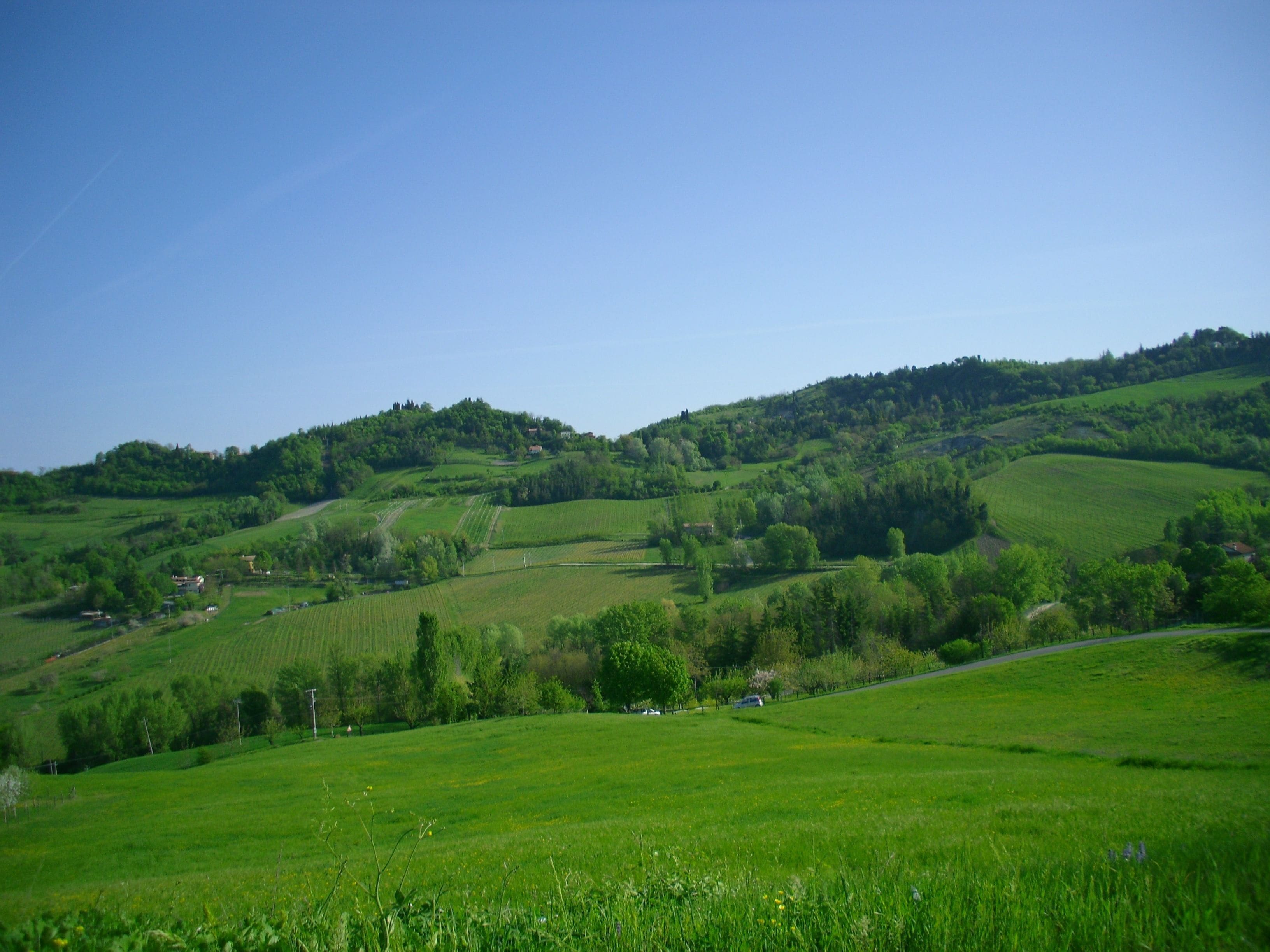 Foto - Admiral Park Hotel by Falco D'Oro Hotels