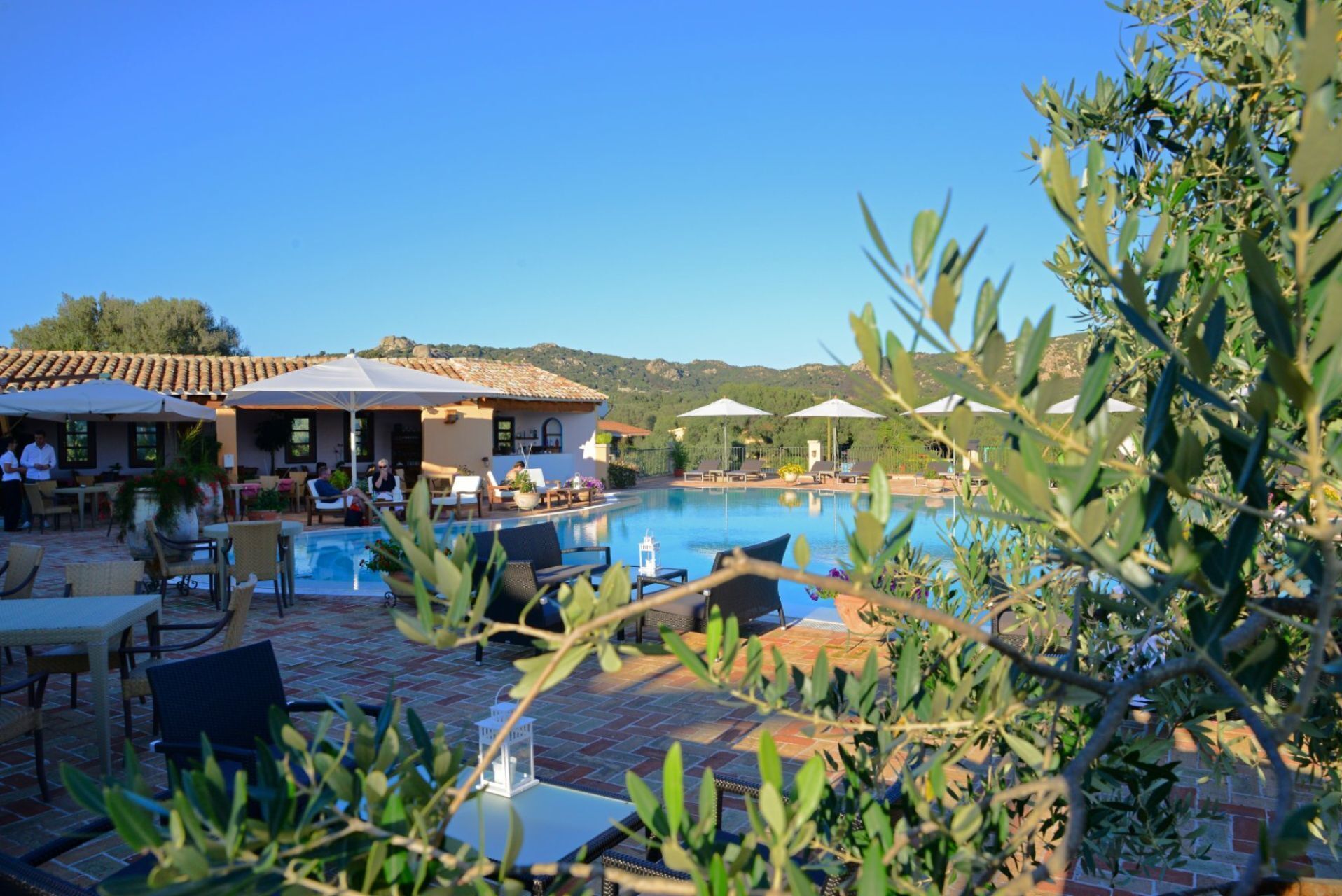 A pool area with lounge chairs and umbrellas, surrounded by olive trees and a mountainous backdrop.