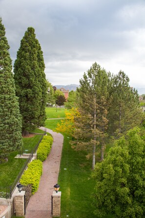 Vista desde la propiedad