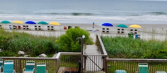 Ocean Forest Colony