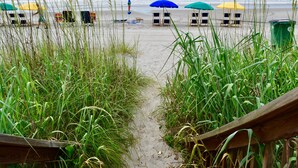 A beach path leading to beach chairs and umbrellas. - Ocean Forest Colony (Myrtle Beach)