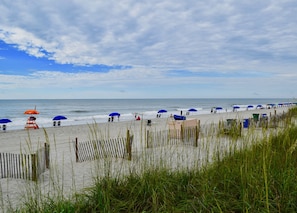 View from property - Ocean Forest Colony (Myrtle Beach)