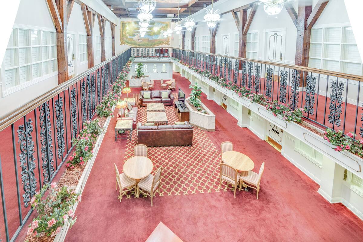 Un espacio interior amplio con alfombra roja, muebles de madera y plantas decorativas.