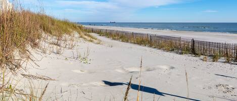 A sandy beach with a wooden fence and dunes.