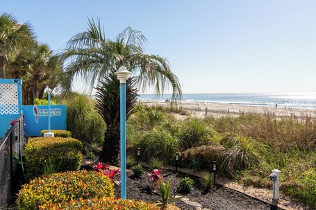 Beach Club at Montego Inn - Image 20