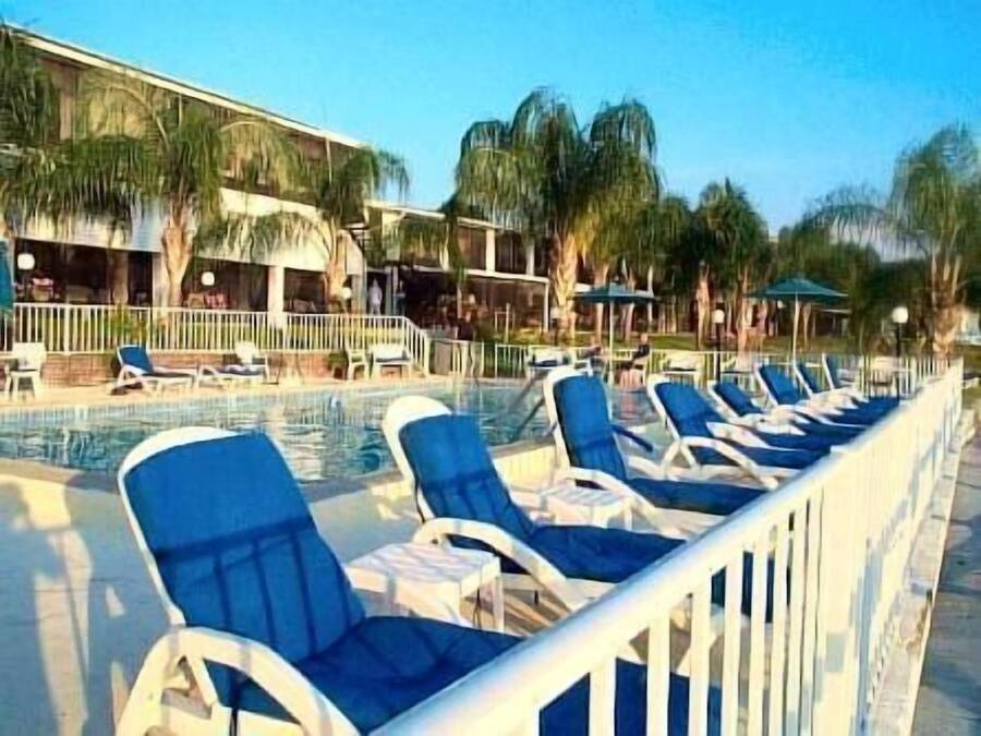 Un área junto a la piscina con sillones de descanso y sombrillas, rodeada de palmeras y un edificio con varios balcones.