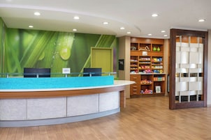 Una zona de recepción con un mural de hojas verdes, un mostrador azul y una estantería para aperitivos.