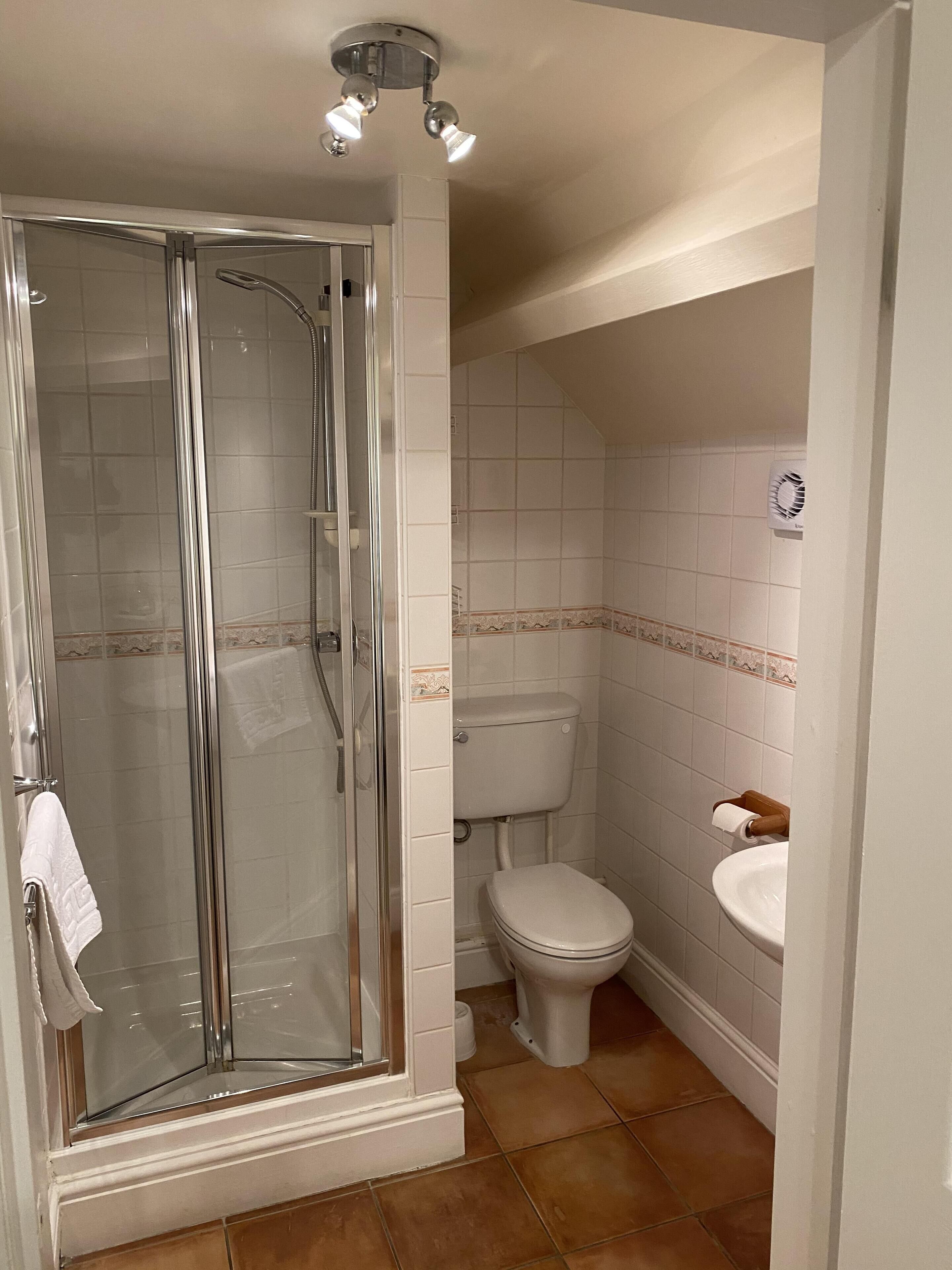 A bathroom with a glass-enclosed shower, a toilet, and a sink.