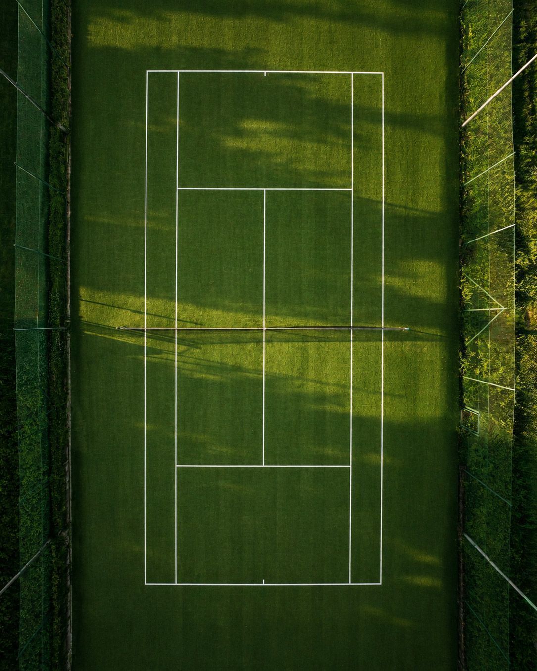 Ein Tennisplatz mit Netz und Randlinien, umgeben von Bäumen.