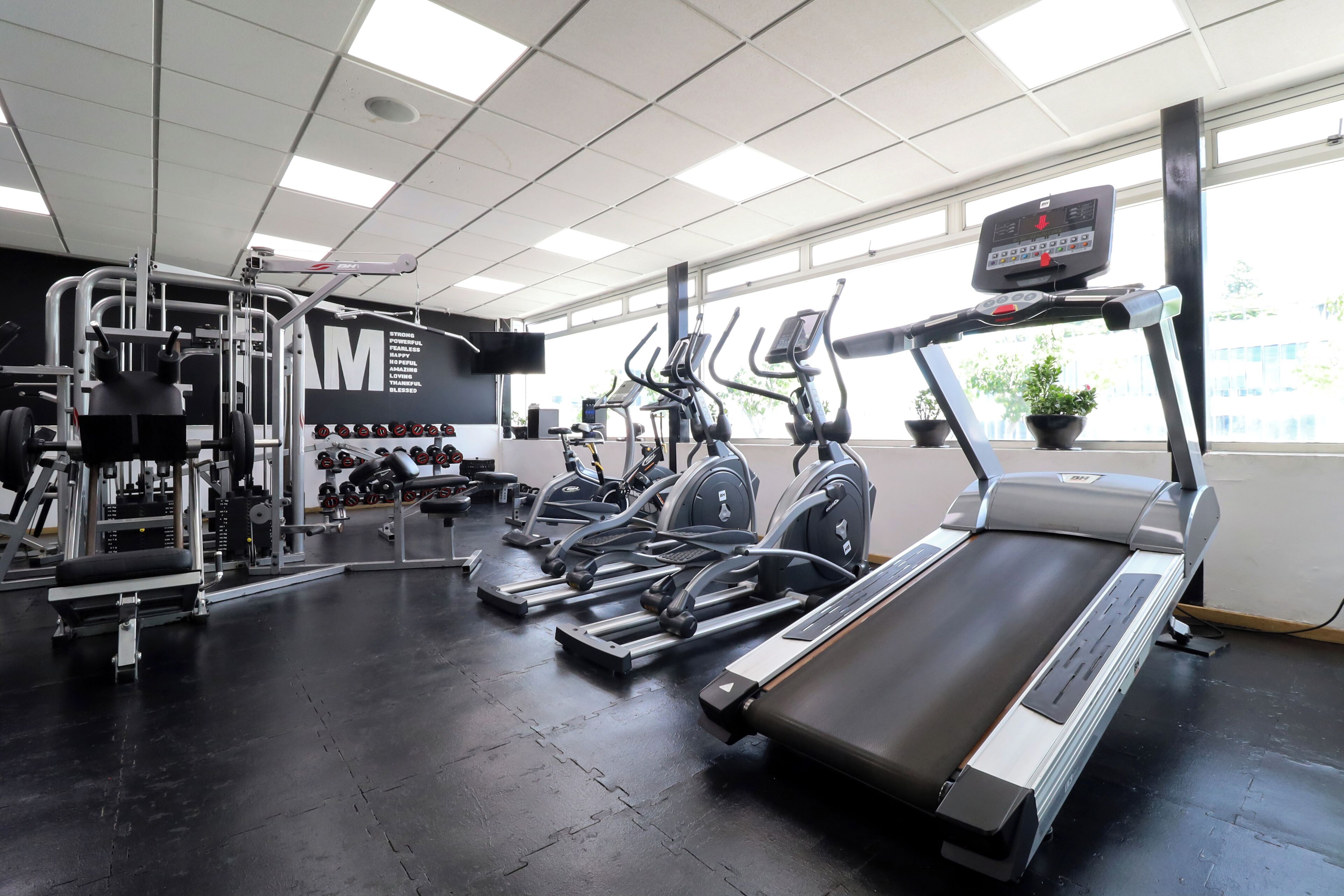 A gym with treadmills, elliptical machines, and weightlifting equipment.